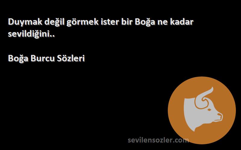 Boğa Burcu  - Duymak değil görmek ister bir Boğa ne kadar sevildiğini..
