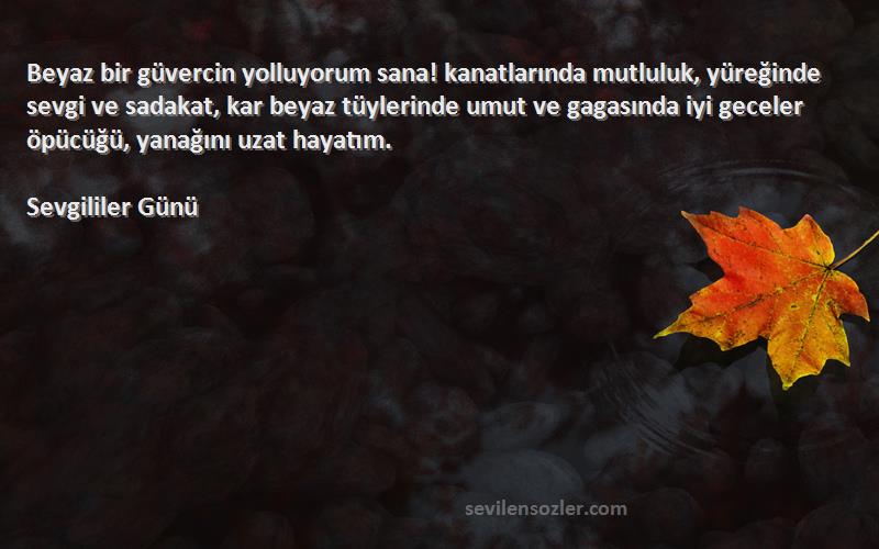 Sevgililer Günü Sözleri 
Beyaz bir güvercin yolluyorum sana! kanatlarında mutluluk, yüreğinde sevgi ve sadakat, kar beyaz tüylerinde umut ve gagasında iyi geceler öpücüğü, yanağını uzat hayatım.