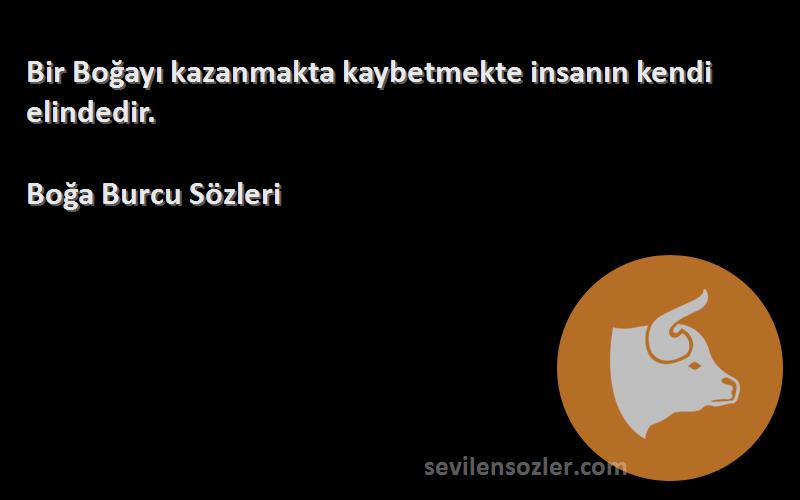 Boğa Burcu  - Bir Boğayı kazanmakta kaybetmekte insanın kendi elindedir.
