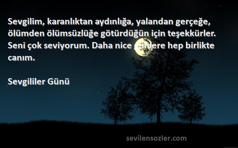 Sevgililer Günü Sözleri 
Sevgilim, karanlıktan aydınlığa, yalandan gerçeğe, ölümden ölümsüzlüğe götürdüğün için teşekkürler. Seni çok seviyorum. Daha nice günlere hep birlikte canım.