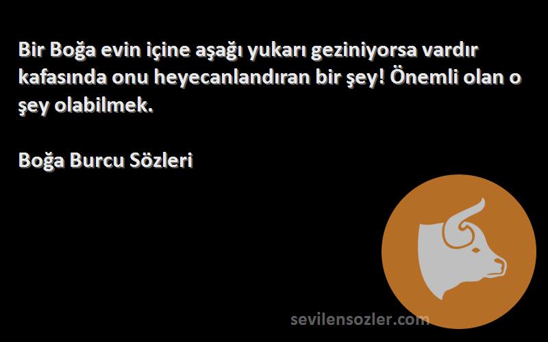 Boğa Burcu  Sözleri 
Bir Boğa evin içine aşağı yukarı geziniyorsa vardır kafasında onu heyecanlandıran bir şey! Önemli olan o şey olabilmek.
