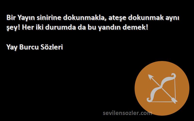 Yay Burcu  - Bir Yayın sinirine dokunmakla, ateşe dokunmak aynı şey! Her iki durumda da bu yandın demek!
