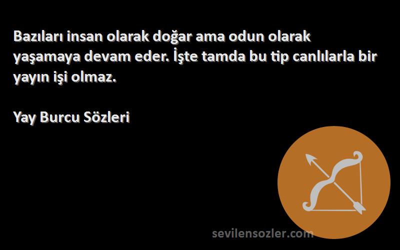 Yay Burcu  Sözleri 
Bazıları insan olarak doğar ama odun olarak yaşamaya devam eder. İşte tamda bu tip canlılarla bir yayın işi olmaz.
