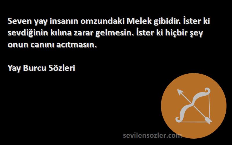 Yay Burcu  Sözleri 
Seven yay insanın omzundaki Melek gibidir. İster ki sevdiğinin kılına zarar gelmesin. İster ki hiçbir şey onun canını acıtmasın.
