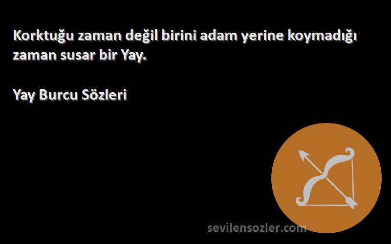 Yay Burcu  - Korktuğu zaman değil birini adam yerine koymadığı zaman susar bir Yay.
