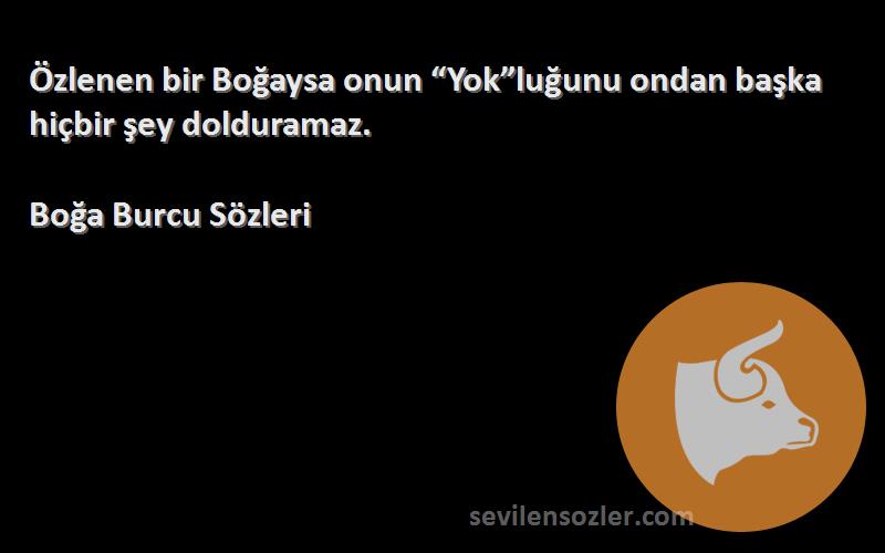 Boğa Burcu  - Özlenen bir Boğaysa onun “Yok”luğunu ondan başka hiçbir şey dolduramaz.
