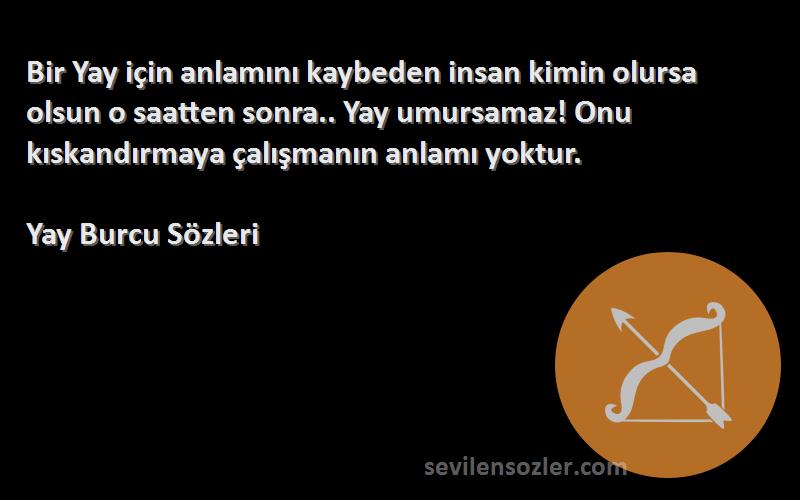 Yay Burcu  Sözleri 
Bir Yay için anlamını kaybeden insan kimin olursa olsun o saatten sonra.. Yay umursamaz! Onu kıskandırmaya çalışmanın anlamı yoktur.
