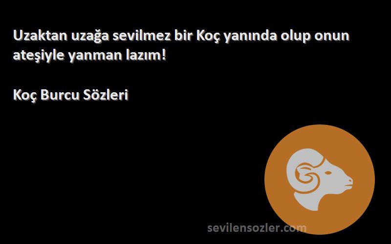 Koç Burcu  - Uzaktan uzağa sevilmez bir Koç yanında olup onun ateşiyle yanman lazım!
