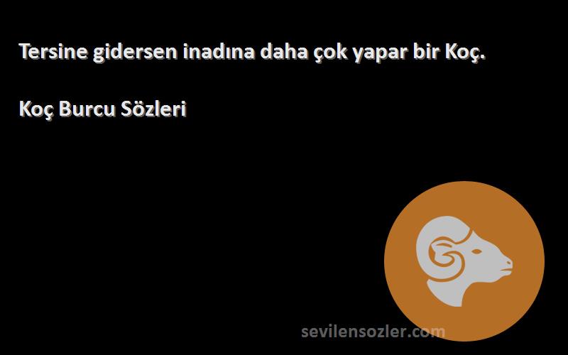 Koç Burcu  - Tersine gidersen inadına daha çok yapar bir Koç.
