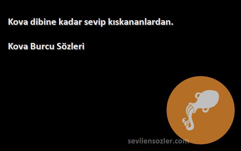 Kova Burcu  - Kova dibine kadar sevip kıskananlardan.
