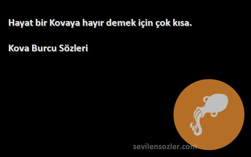 Kova Burcu  - Hayat bir Kovaya hayır demek için çok kısa.
