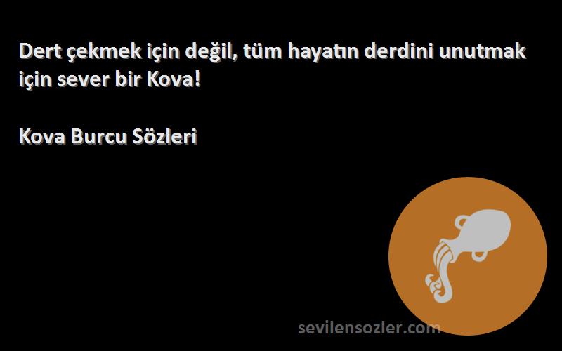 Kova Burcu  - Dert çekmek için değil, tüm hayatın derdini unutmak için sever bir Kova!
