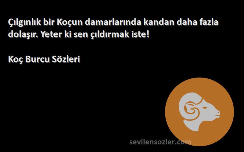 Koç Burcu  - Çılgınlık bir Koçun damarlarında kandan daha fazla dolaşır. Yeter ki sen çıldırmak iste!
