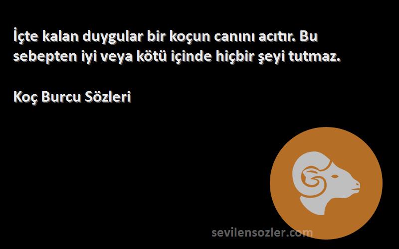 Koç Burcu  Sözleri 
İçte kalan duygular bir koçun canını acıtır. Bu sebepten iyi veya kötü içinde hiçbir şeyi tutmaz.
