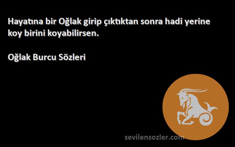 Oğlak Burcu  - Hayatına bir Oğlak girip çıktıktan sonra hadi yerine koy birini koyabilirsen.
