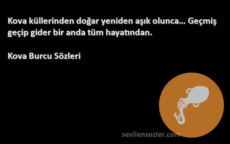 Kova Burcu  - Kova küllerinden doğar yeniden aşık olunca… Geçmiş geçip gider bir anda tüm hayatından.
