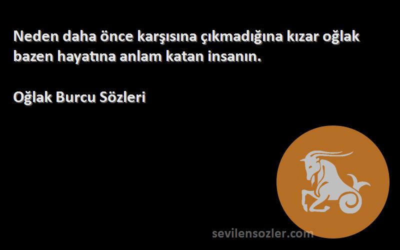 Oğlak Burcu  - Neden daha önce karşısına çıkmadığına kızar oğlak bazen hayatına anlam katan insanın.
