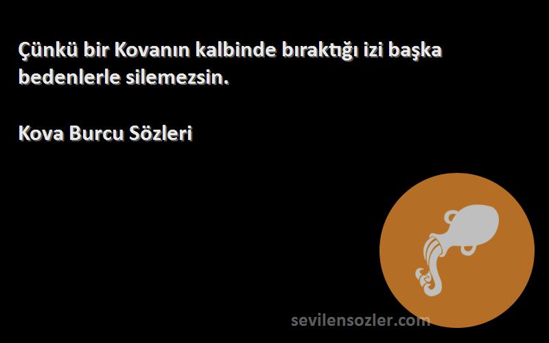 Kova Burcu  - Çünkü bir Kovanın kalbinde bıraktığı izi başka bedenlerle silemezsin.
