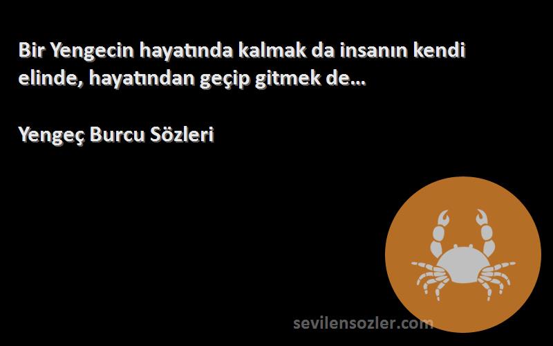 Yengeç Burcu  - Bir Yengecin hayatında kalmak da insanın kendi elinde, hayatından geçip gitmek de…
