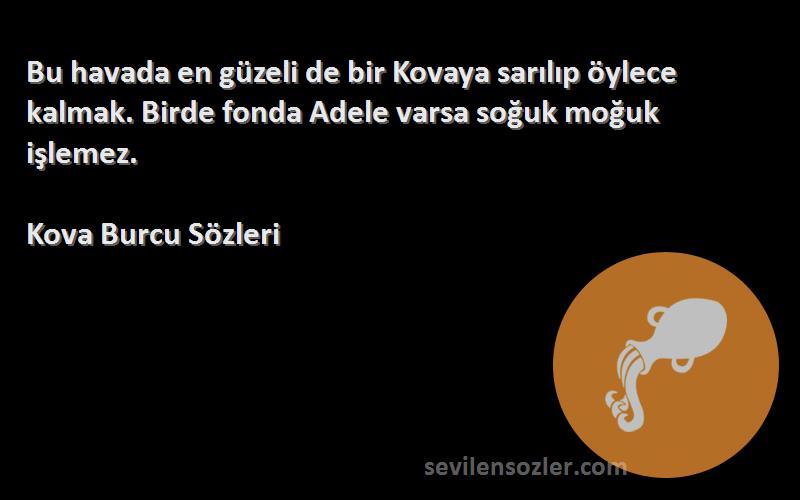 Kova Burcu  Sözleri 
Bu havada en güzeli de bir Kovaya sarılıp öylece kalmak. Birde fonda Adele varsa soğuk moğuk işlemez.
