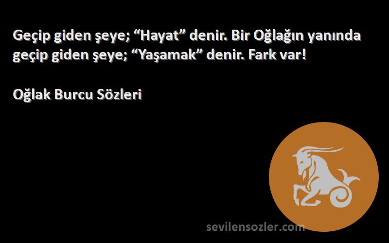 Oğlak Burcu  - Geçip giden şeye; “Hayat” denir. Bir Oğlağın yanında geçip giden şeye; “Yaşamak” denir. Fark var!
