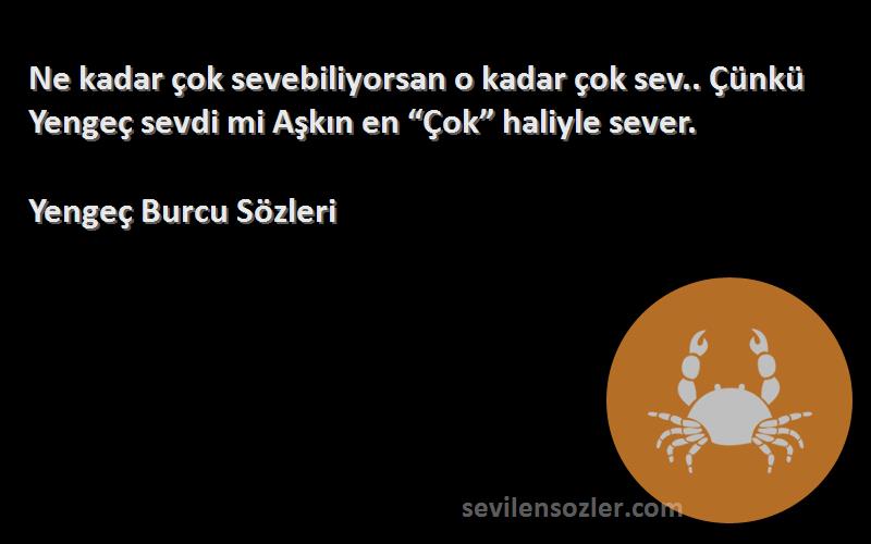 Yengeç Burcu  - Ne kadar çok sevebiliyorsan o kadar çok sev.. Çünkü Yengeç sevdi mi Aşkın en “Çok” haliyle sever.
