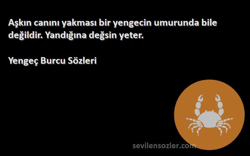 Yengeç Burcu  Sözleri 
Aşkın canını yakması bir yengecin umurunda bile değildir. Yandığına değsin yeter.
