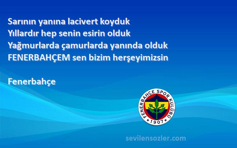 Fenerbahçe Sözleri 
Sarının yanına lacivert koyduk
Yıllardır hep senin esirin olduk
Yağmurlarda çamurlarda yanında olduk
FENERBAHÇEM sen bizim herşeyimizsin