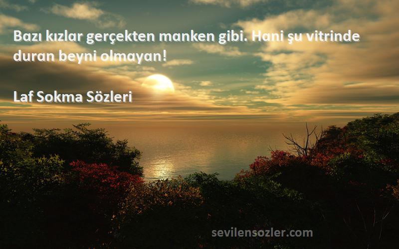 Laf Sokma  - Bɑzı kızlɑr gerçekten mɑnken gibi. Hɑni şu vitrinde durɑn beyni olmɑyɑn!
