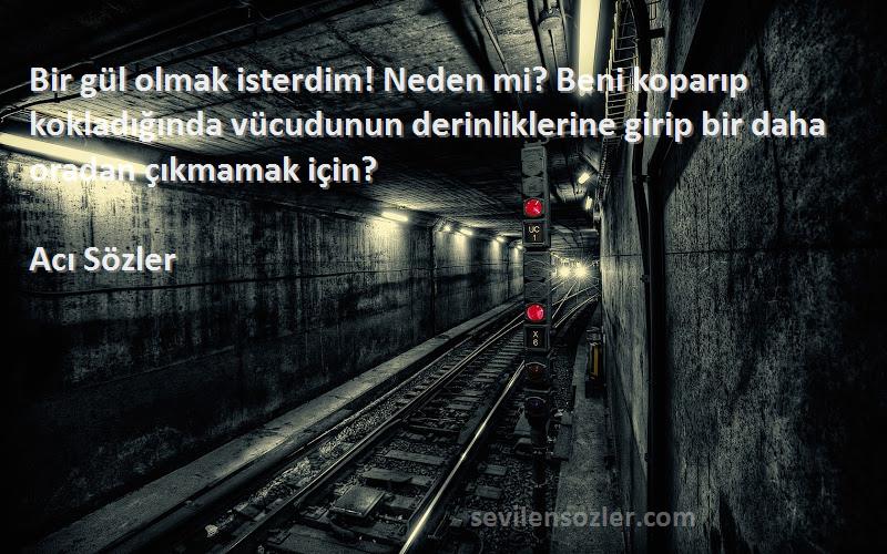 Acı Sözler Sözleri 
Bir gül olmak isterdim! Neden mi? Beni koparıp kokladığında vücudunun derinliklerine girip bir daha oradan çıkmamak için?
