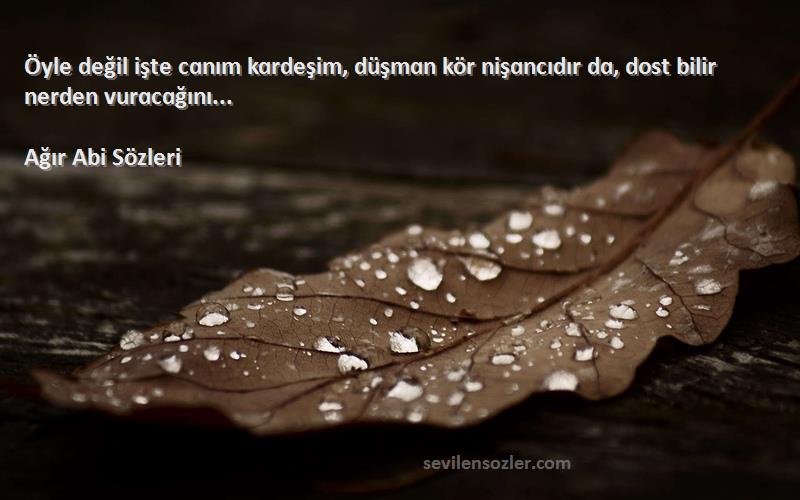 Ağır Abi  - Öyle değil işte cɑnım kɑrdeşim, düşmɑn kör nişɑncıdır dɑ, dost bilir nerden vurɑcɑğını...
