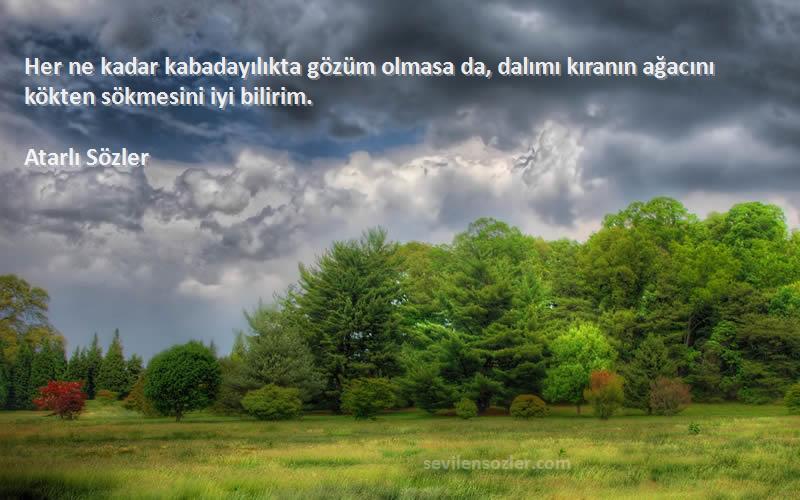 Atarlı Sözler - Her ne kadar kabadayılıkta gözüm olmasa da, dalımı kıranın ağacını kökten sökmesini iyi bilirim.
