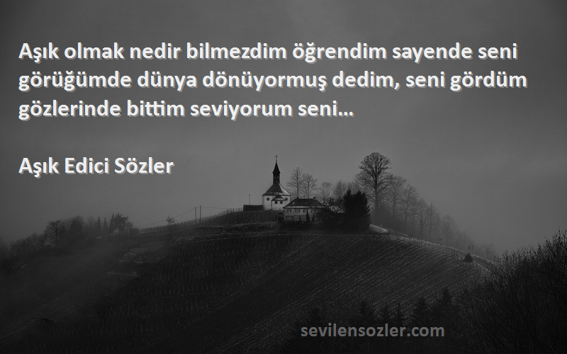 Aşık Edici Sözler Sözleri 
Aşık olmak nedir bilmezdim öğrendim sayende seni görüğümde dünya dönüyormuş dedim, seni gördüm gözlerinde bittim seviyorum seni…
