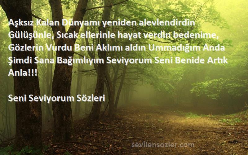 Seni Seviyorum  Sözleri 
Aşksız Kalan Dünyamı yeniden alevlendirdin GüIüşünle, Sıcak ellerinle hayat verdin bedenime, Gözlerin Vurdu Beni Aklımı aldın Ummadığım Anda Şimdi Sana Bağımlıyım Seviyorum Seni Benide Artık Anla!!!
