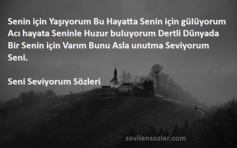 Seni Seviyorum  Sözleri 
Senin için Yaşıyorum Bu Hayatta Senin için güIüyorum Acı hayata Seninle Huzur buIuyorum Dertli Dünyada Bir Senin için Varım Bunu Asla unutma Seviyorum Seni.
