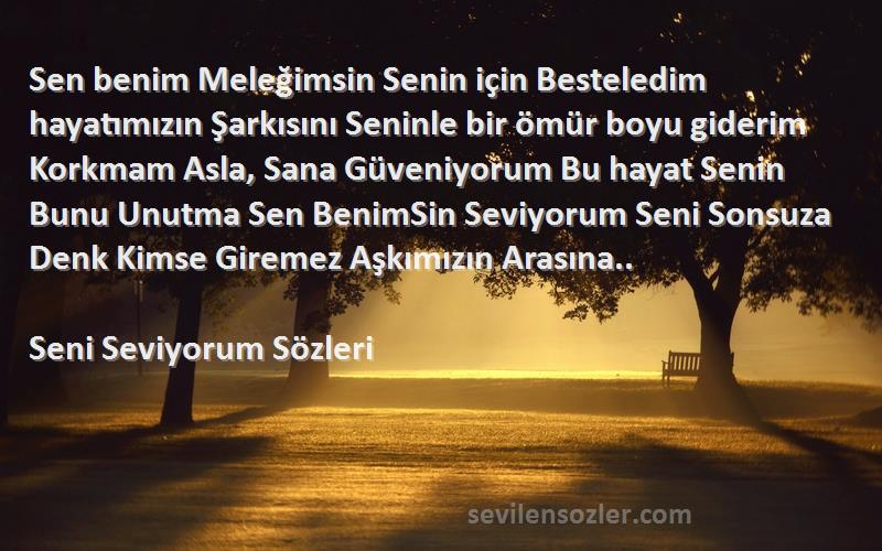 Seni Seviyorum  Sözleri 
Sen benim Meleğimsin Senin için Besteledim hayatımızın Şarkısını Seninle bir ömür boyu giderim Korkmam Asla, Sana Güveniyorum Bu hayat Senin Bunu Unutma Sen BenimSin Seviyorum Seni Sonsuza Denk Kimse Giremez Aşkımızın Arasına..
