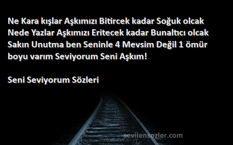 Seni Seviyorum  Sözleri 
Ne Kara kışlar Aşkımızı Bitircek kadar Soğuk olcak Nede Yazlar Aşkımızı Eritecek kadar Bunaltıcı olcak Sakın Unutma ben Seninle 4 Mevsim Değil 1 ömür boyu varım Seviyorum Seni Aşkım!
