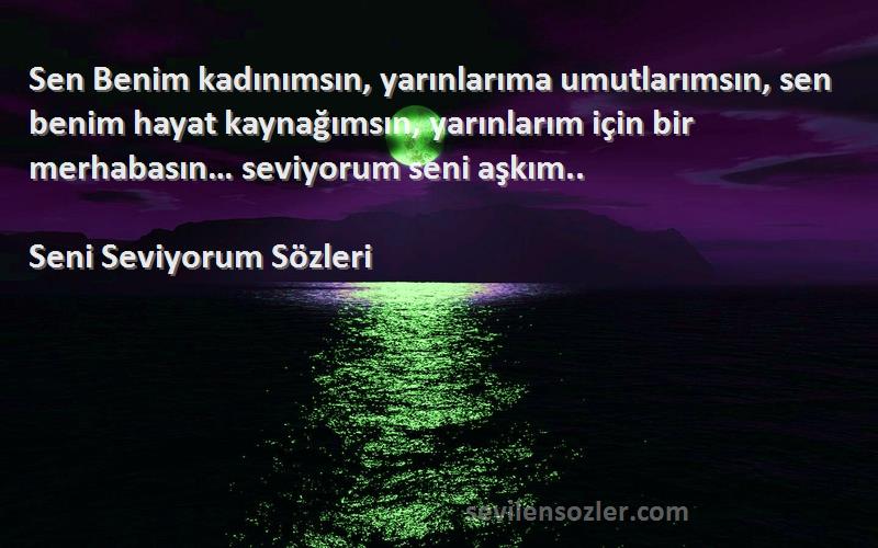 Seni Seviyorum  Sözleri 
Sen Benim kadınımsın, yarınlarıma umutlarımsın, sen benim hayat kaynağımsın, yarınlarım için bir merhabasın… seviyorum seni aşkım..
