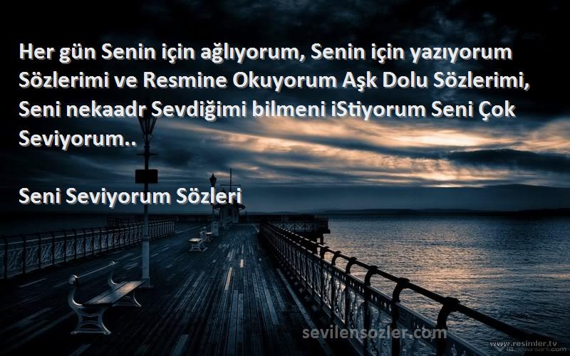 Seni Seviyorum  Sözleri 
Her gün Senin için ağlıyorum, Senin için yazıyorum Sözlerimi ve Resmine Okuyorum Aşk Dolu Sözlerimi, Seni nekaadr Sevdiğimi bilmeni iStiyorum Seni Çok Seviyorum..
