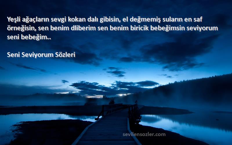 Seni Seviyorum  Sözleri 
Yeşli ağaçların sevgi kokan dalı gibisin, el değmemiş suların en saf örneğisin, sen benim dliberim sen benim biricik bebeğimsin seviyorum seni bebeğim..
