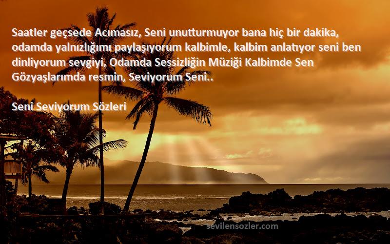 Seni Seviyorum  Sözleri 
Saatler geçsede Acımasız, Seni unutturmuyor bana hiç bir dakika, odamda yalnızlığımı paylaşıyorum kalbimle, kalbim anlatıyor seni ben dinliyorum sevgiyi, Odamda Sessizliğin Müziği Kalbimde Sen Gözyaşlarımda resmin, Seviyorum Seni..
