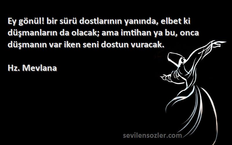 Hz. Mevlana Sözleri 
Ey gönül! bir sürü dostlarının yanında, elbet ki düşmanların da olacak; ama imtihan ya bu, onca düşmanın var iken seni dostun vuracak.