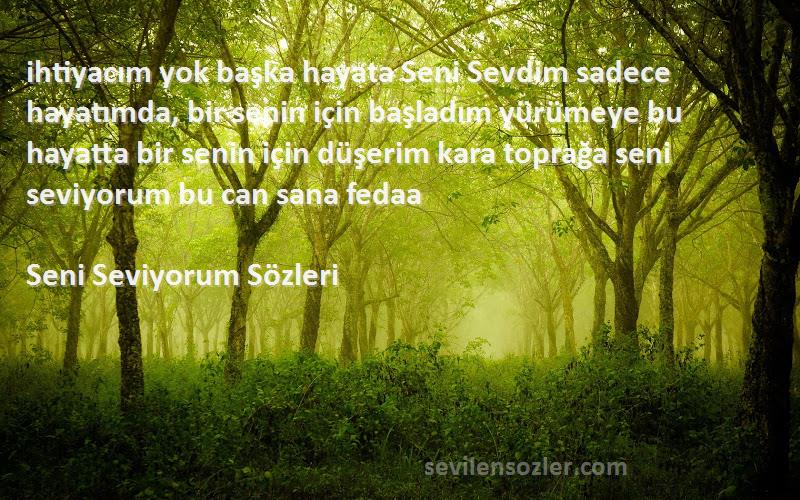 Seni Seviyorum  Sözleri 
ihtiyacım yok başka hayata Seni Sevdim sadece hayatımda, bir senin için başladım yürümeye bu hayatta bir senin için düşerim kara toprağa seni seviyorum bu can sana fedaa
