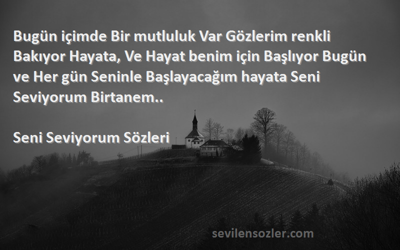 Seni Seviyorum  Sözleri 
Bugün içimde Bir mutluluk Var Gözlerim renkli Bakıyor Hayata, Ve Hayat benim için Başlıyor Bugün ve Her gün Seninle Başlayacağım hayata Seni Seviyorum Birtanem..
