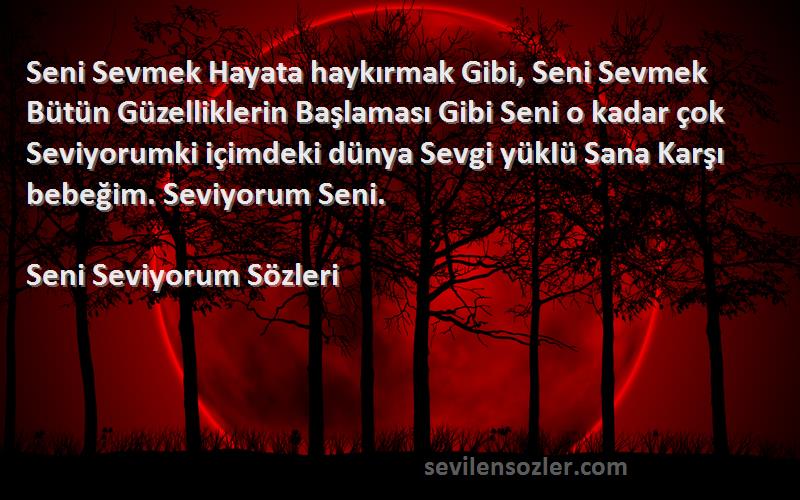 Seni Seviyorum  Sözleri 
Seni Sevmek Hayata haykırmak Gibi, Seni Sevmek Bütün Güzelliklerin Başlaması Gibi Seni o kadar çok Seviyorumki içimdeki dünya Sevgi yükIü Sana Karşı bebeğim. Seviyorum Seni.
