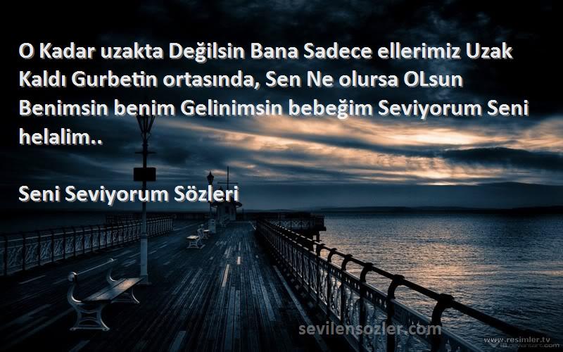 Seni Seviyorum  Sözleri 
O Kadar uzakta Değilsin Bana Sadece ellerimiz Uzak Kaldı Gurbetin ortasında, Sen Ne olursa OLsun Benimsin benim Gelinimsin bebeğim Seviyorum Seni helalim..
