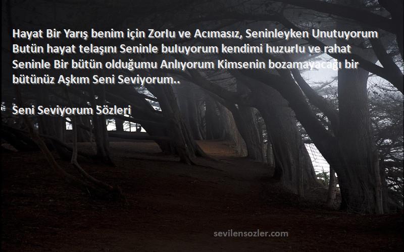 Seni Seviyorum  Sözleri 
Hayat Bir Yarış benim için ZorIu ve Acımasız, Seninleyken Unutuyorum Butün hayat telaşını Seninle buIuyorum kendimi huzurIu ve rahat Seninle Bir bütün olduğumu Anlıyorum Kimsenin bozamayacağı bir bütünüz Aşkım Seni Seviyorum..
