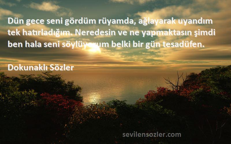 Dokunaklı Sözler Sözleri 
Dün gece seni gördüm rüyamda, ağlayarak uyandım tek hatırladığım. Neredesin ve ne yapmaktasın şimdi ben hala seni söylüyorum belki bir gün tesadüfen.
