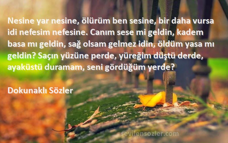 Dokunaklı Sözler Sözleri 
Nesine yar nesine, ölürüm ben sesine, bir daha vursa idi nefesim nefesine. Canım sese mi geldin, kadem basa mı geldin, sağ olsam gelmez idin, öldüm yasa mı geldin? Saçın yüzüne perde, yüreğim düştü derde, ayaküstü duramam, seni gördüğüm yerde?
