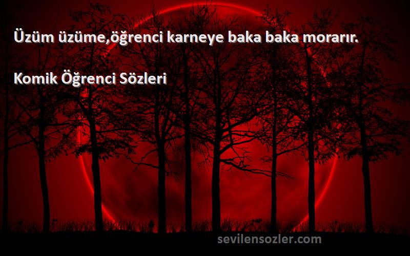 Komik Öğrenci  - Üzüm üzüme,öğrenci karneye baka baka morarır.
